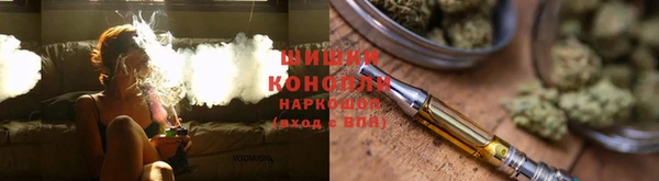 СК Новозыбков