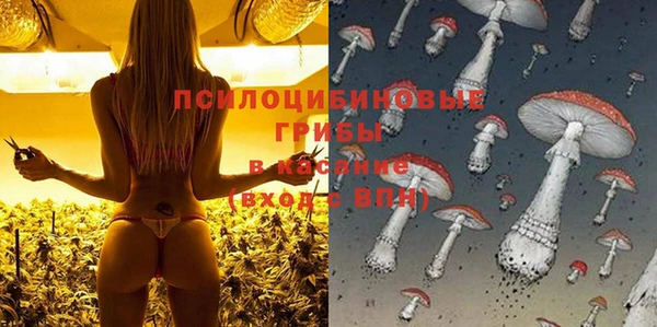 кокаин Алексеевка